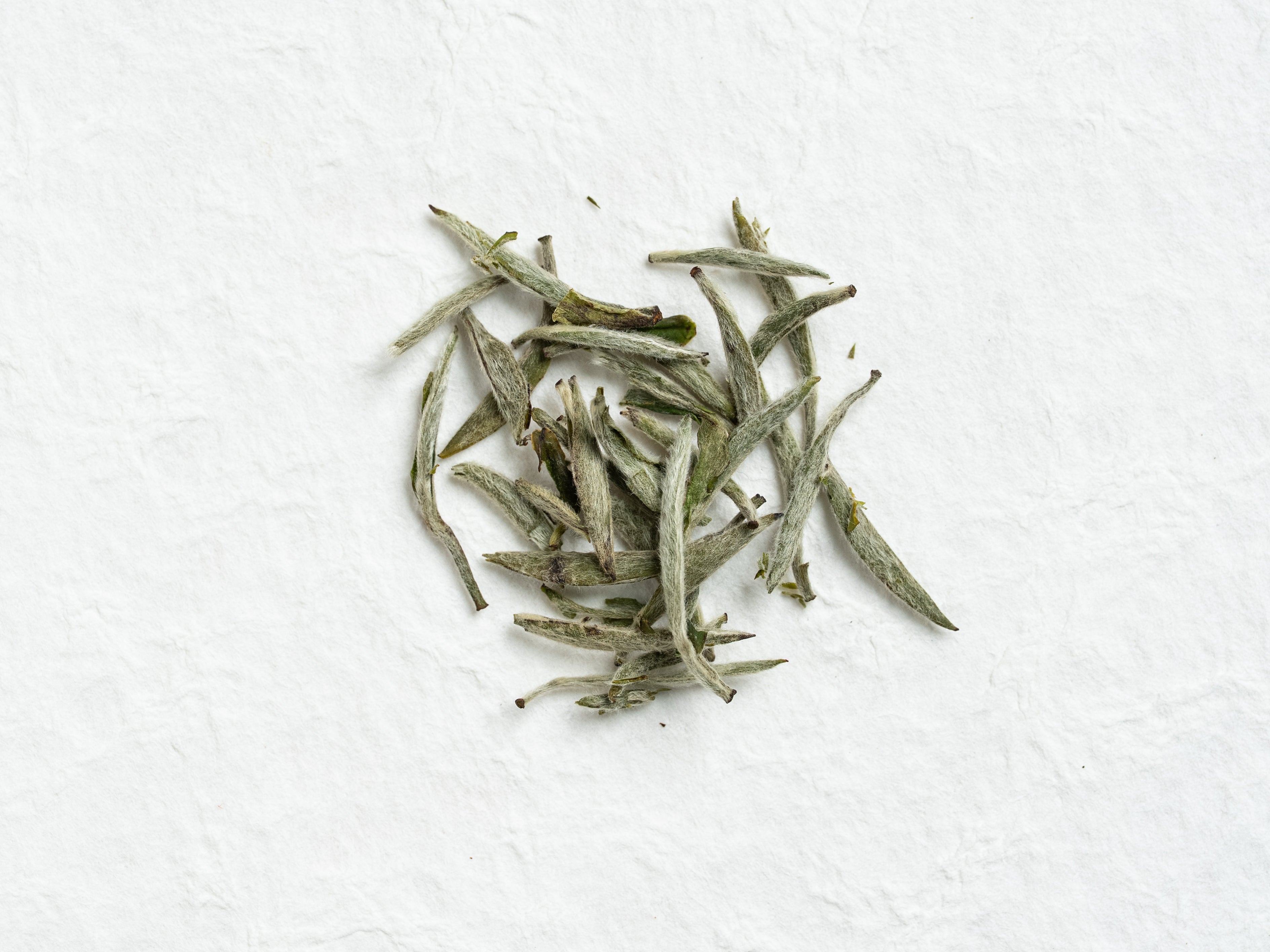 Silver Needle White Tea