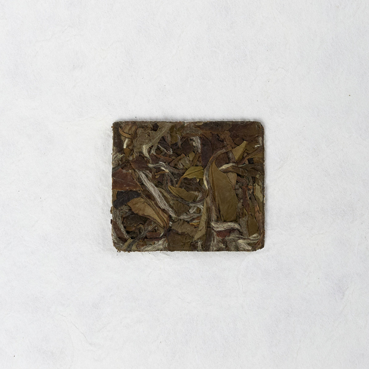 Dry loose leaves of White Peony Tea