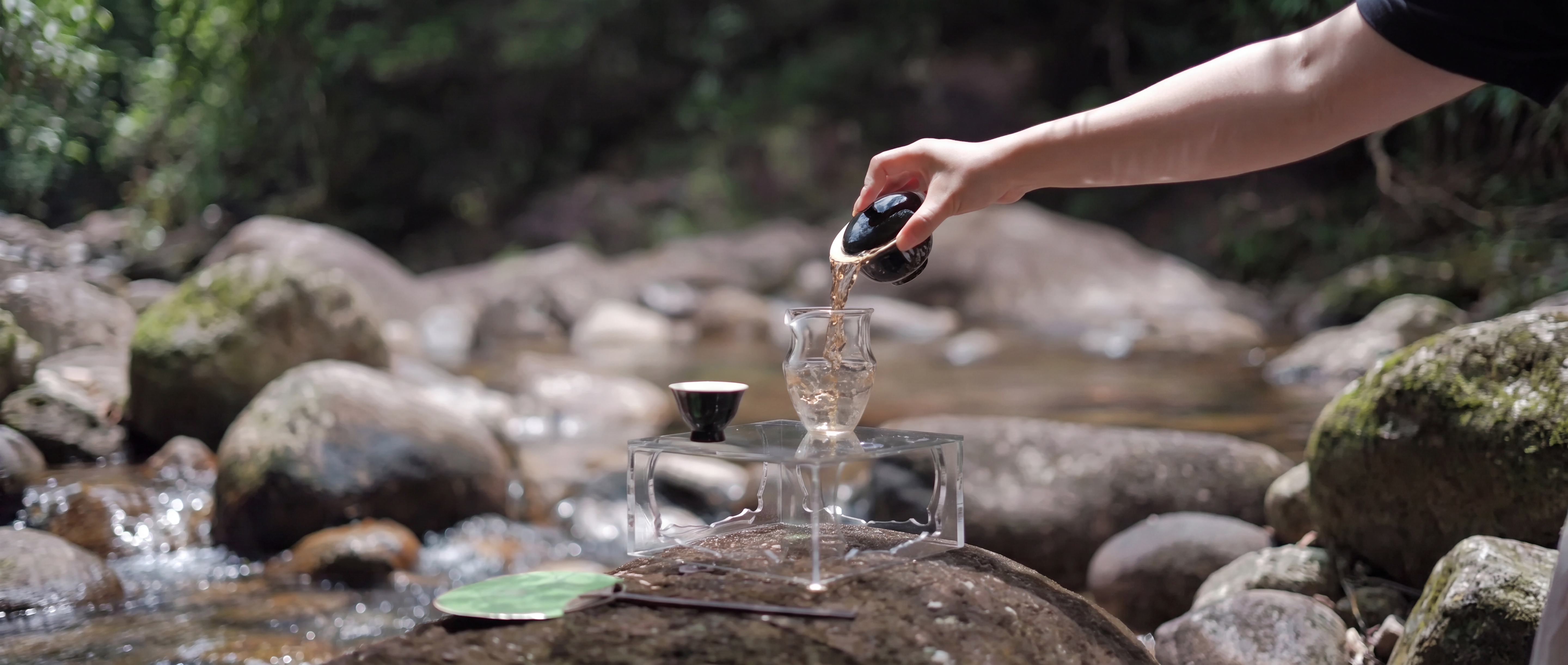 Chinese Oolong Tea