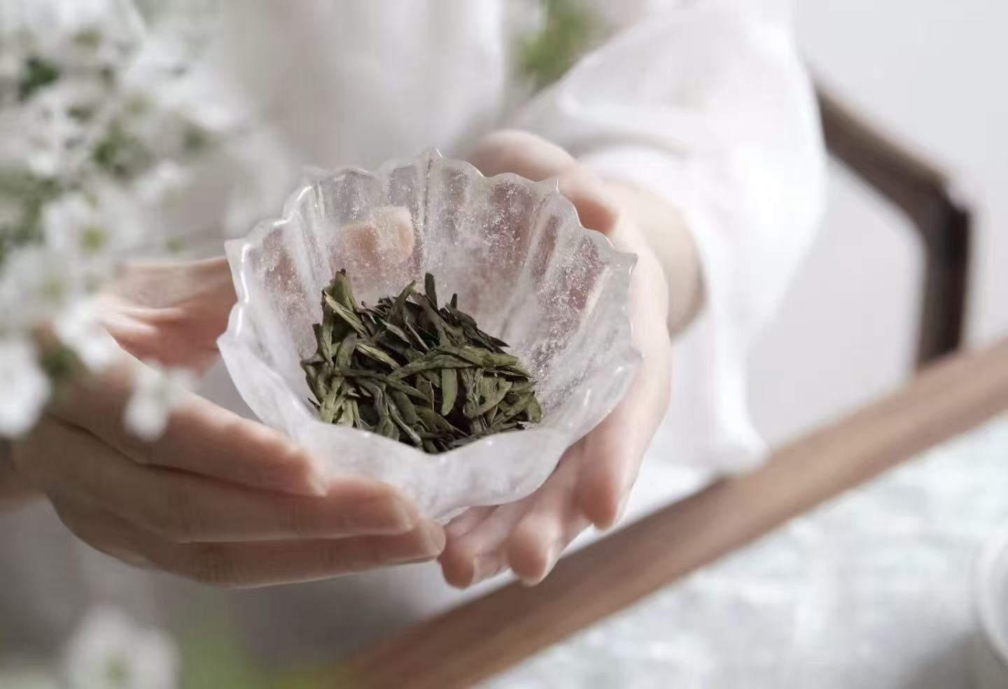 Beginner's Brewing Teaware