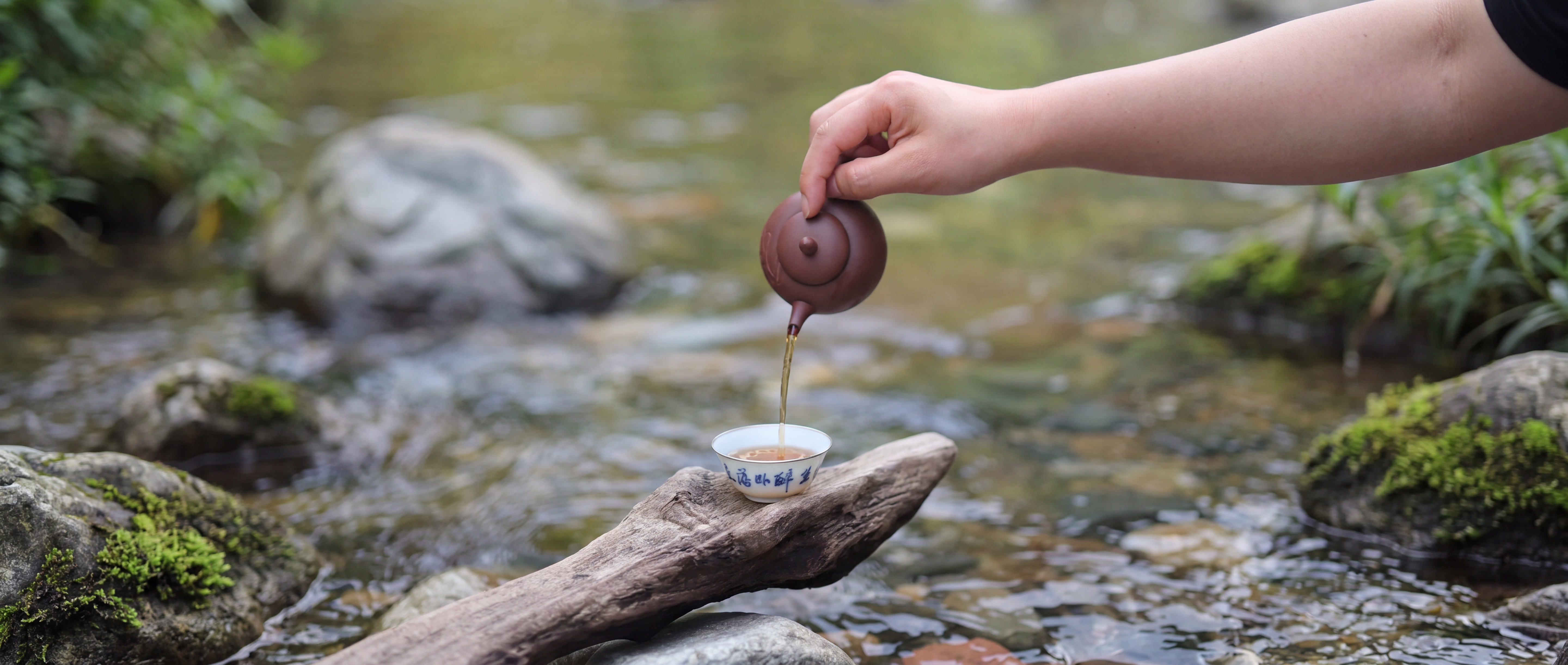 Pu-erh & Liubao Tea