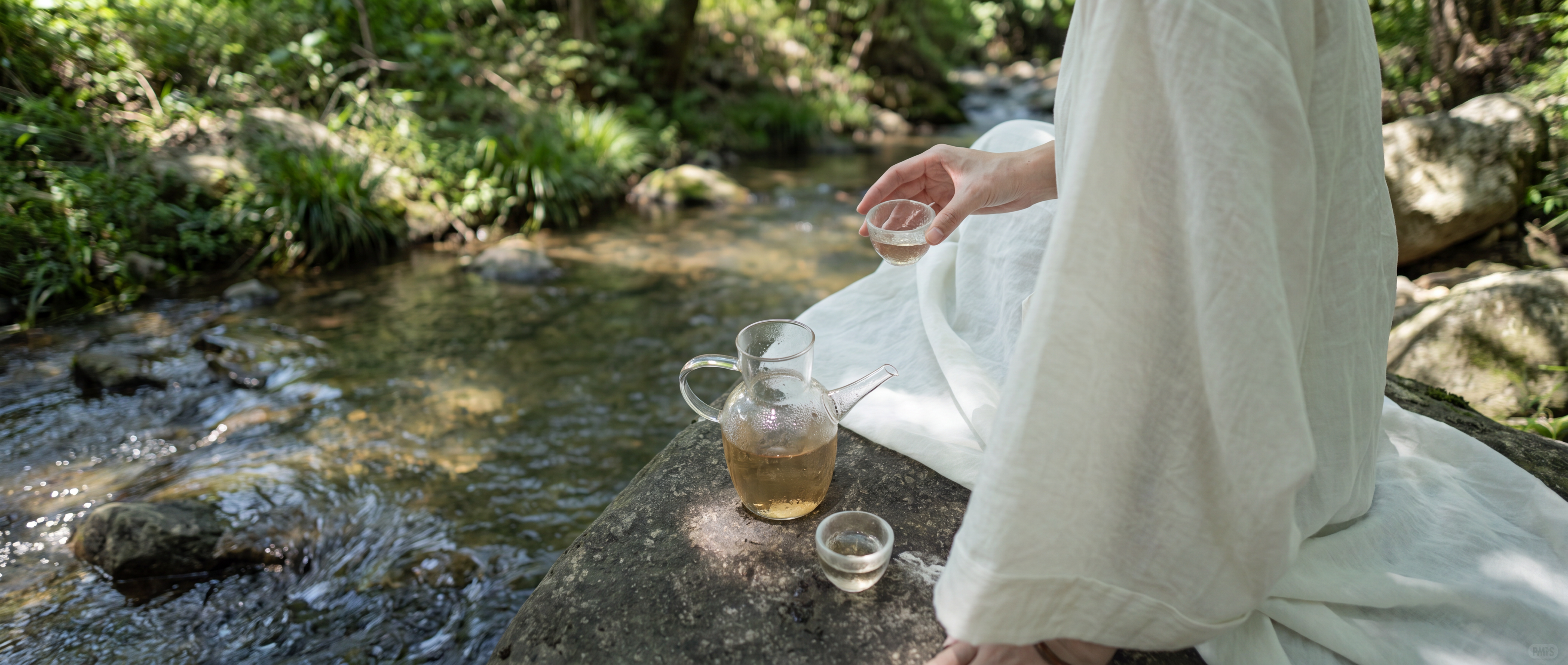 Chinese White Tea