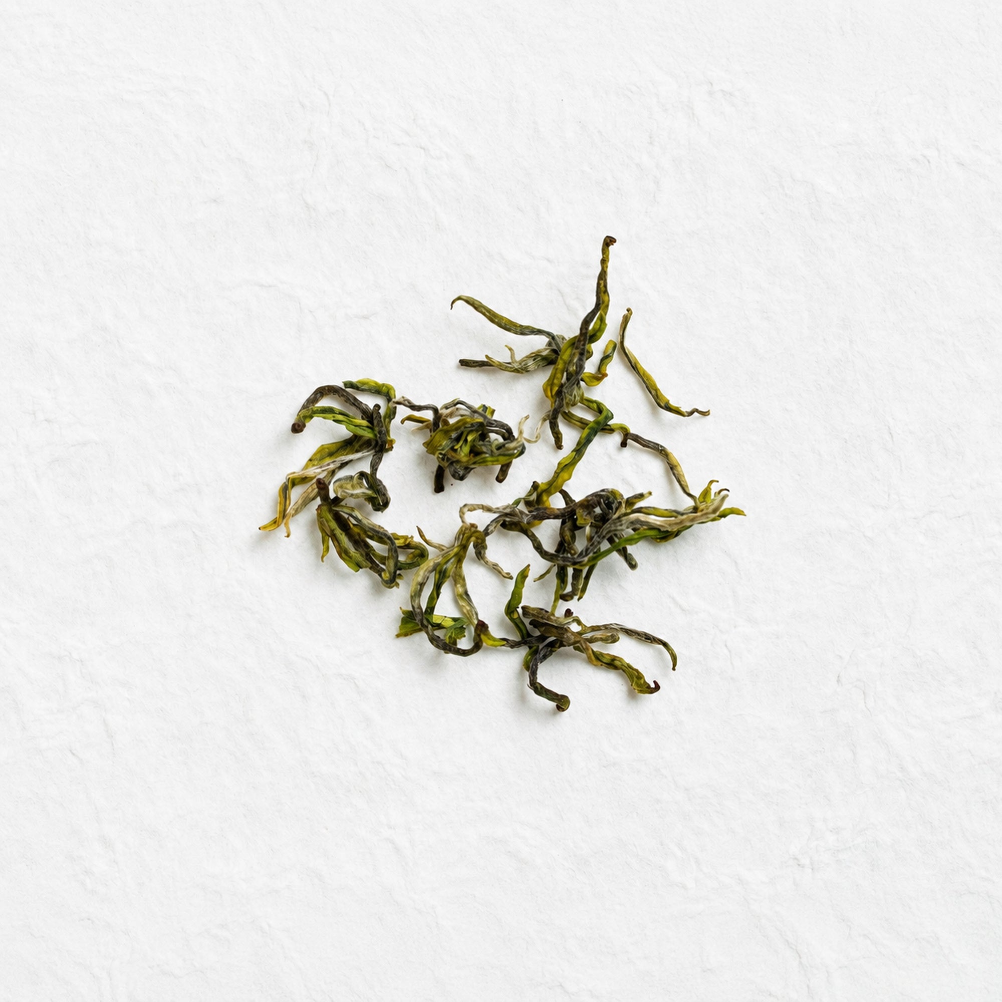 Dry loose leaves of Anji Bai Cha Green Tea
