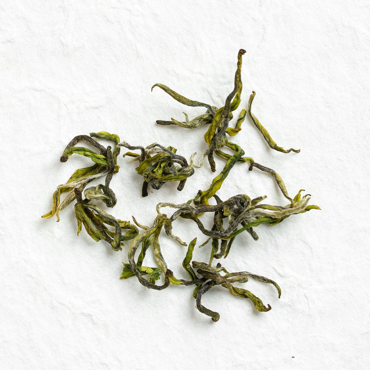 Dry loose leaves of Anji Bai Cha Green Tea