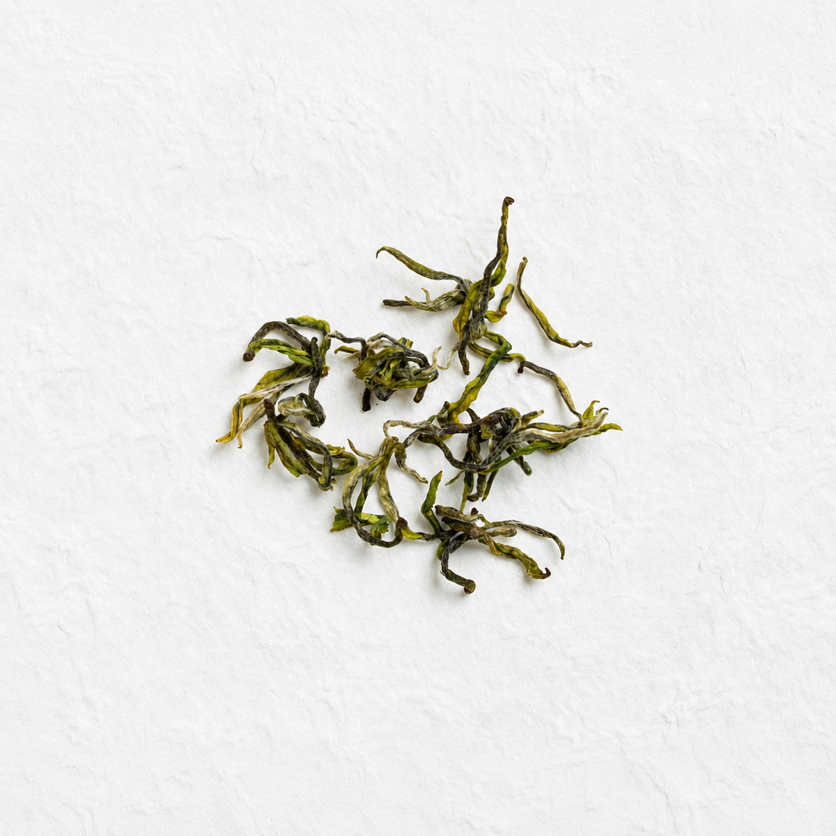 Dry loose leaves of Anji Bai Cha Green Tea