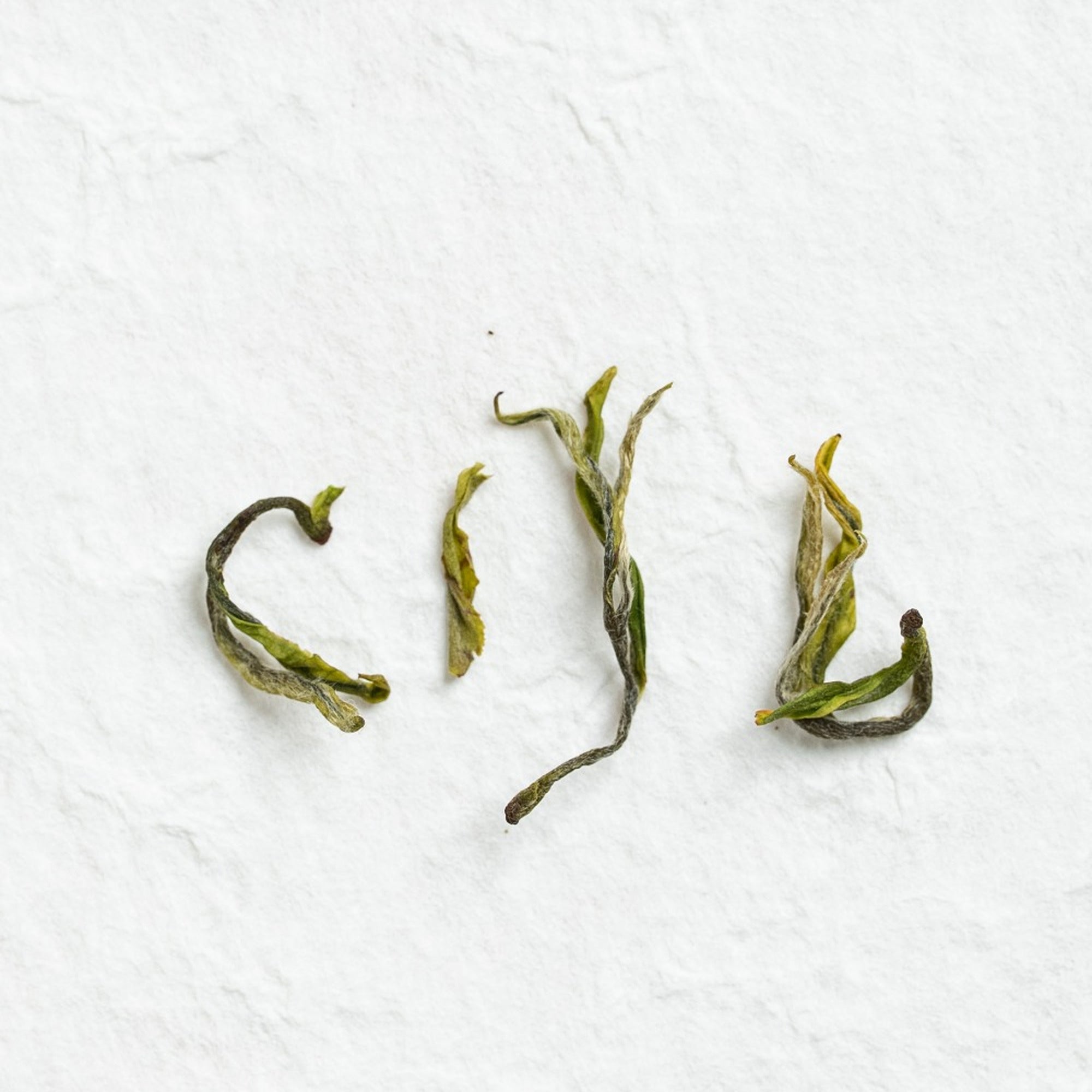 Close-up of Anji Bai Cha Green Tea loose tea leaves