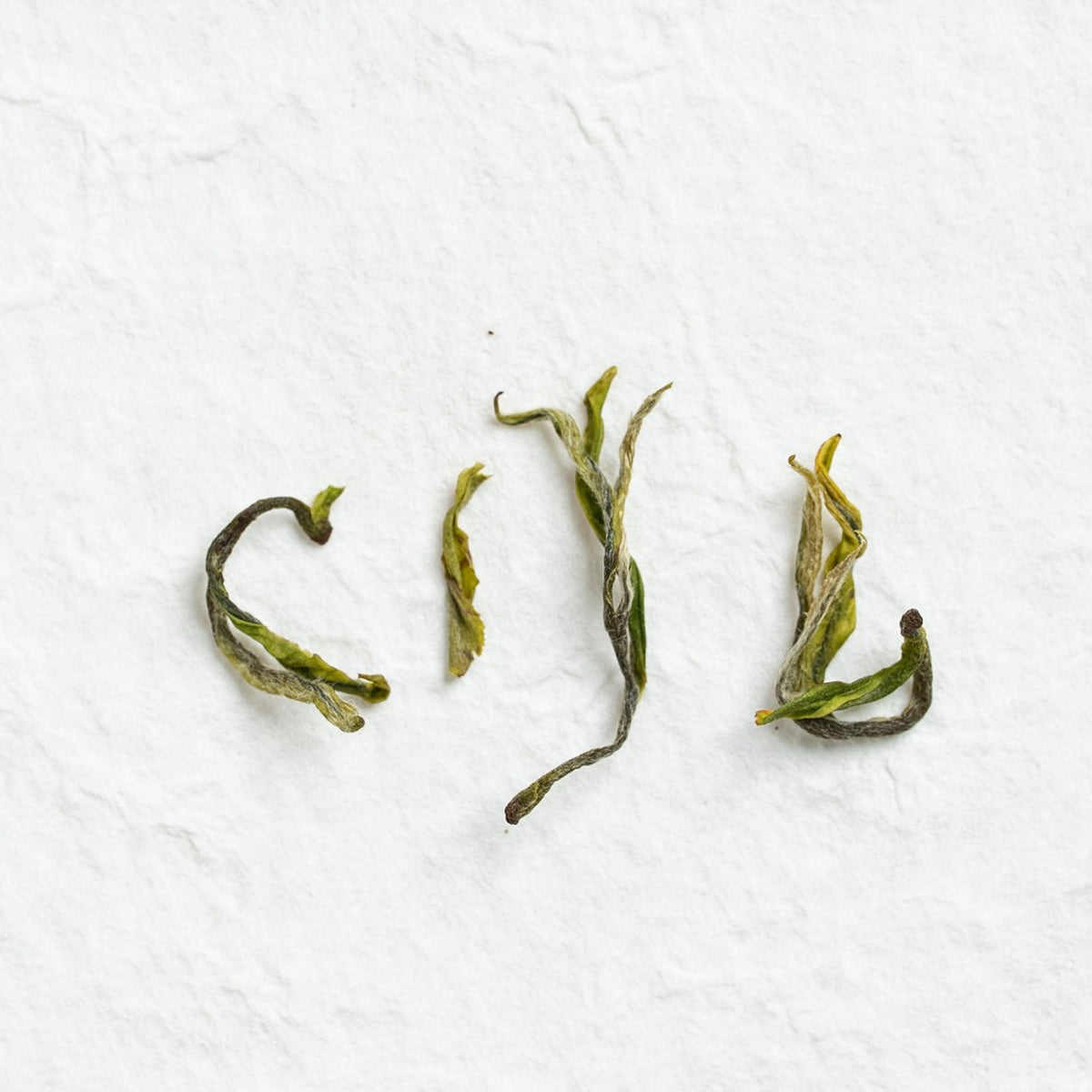 Close-up of Anji Bai Cha Green Tea loose tea leaves