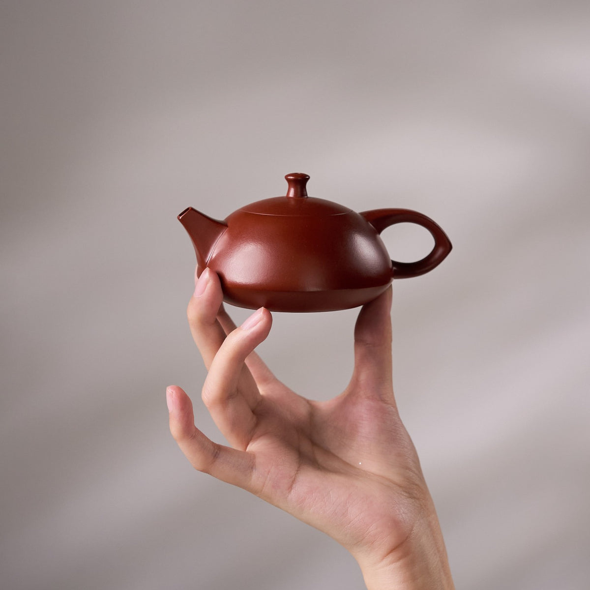 Jade Rabbit Chaozhou Zhuni Hand-Thrown Teapot held in hand for scale