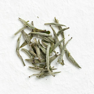 Dry loose leaves of Silver Needle White Tea