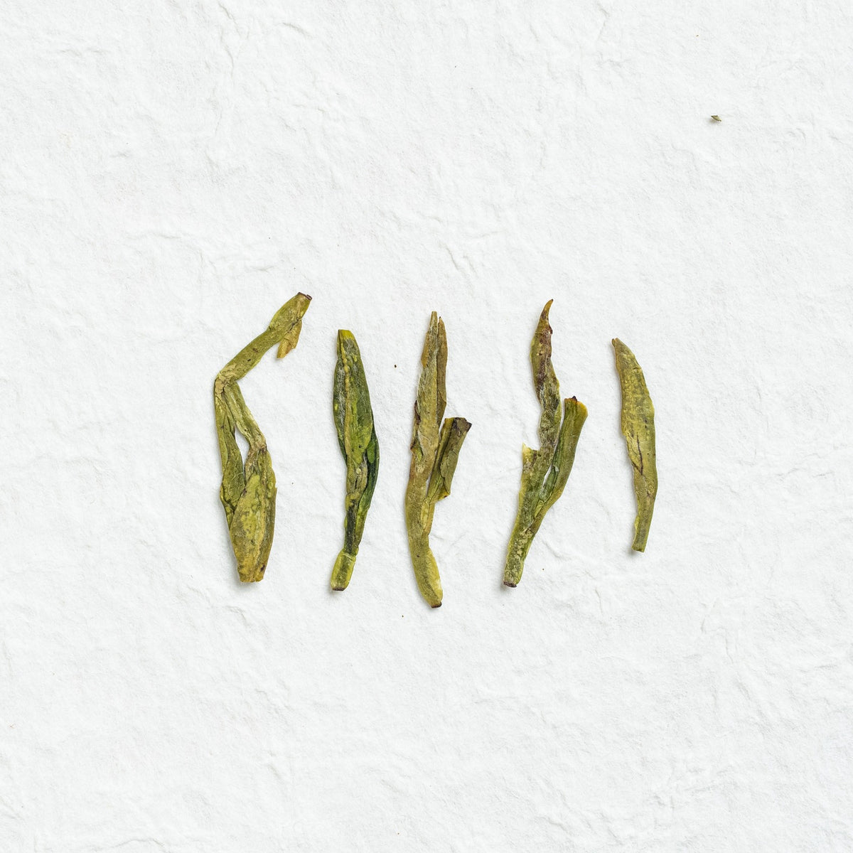 Close-up of West Lake Longjing Green Tea loose tea leaves