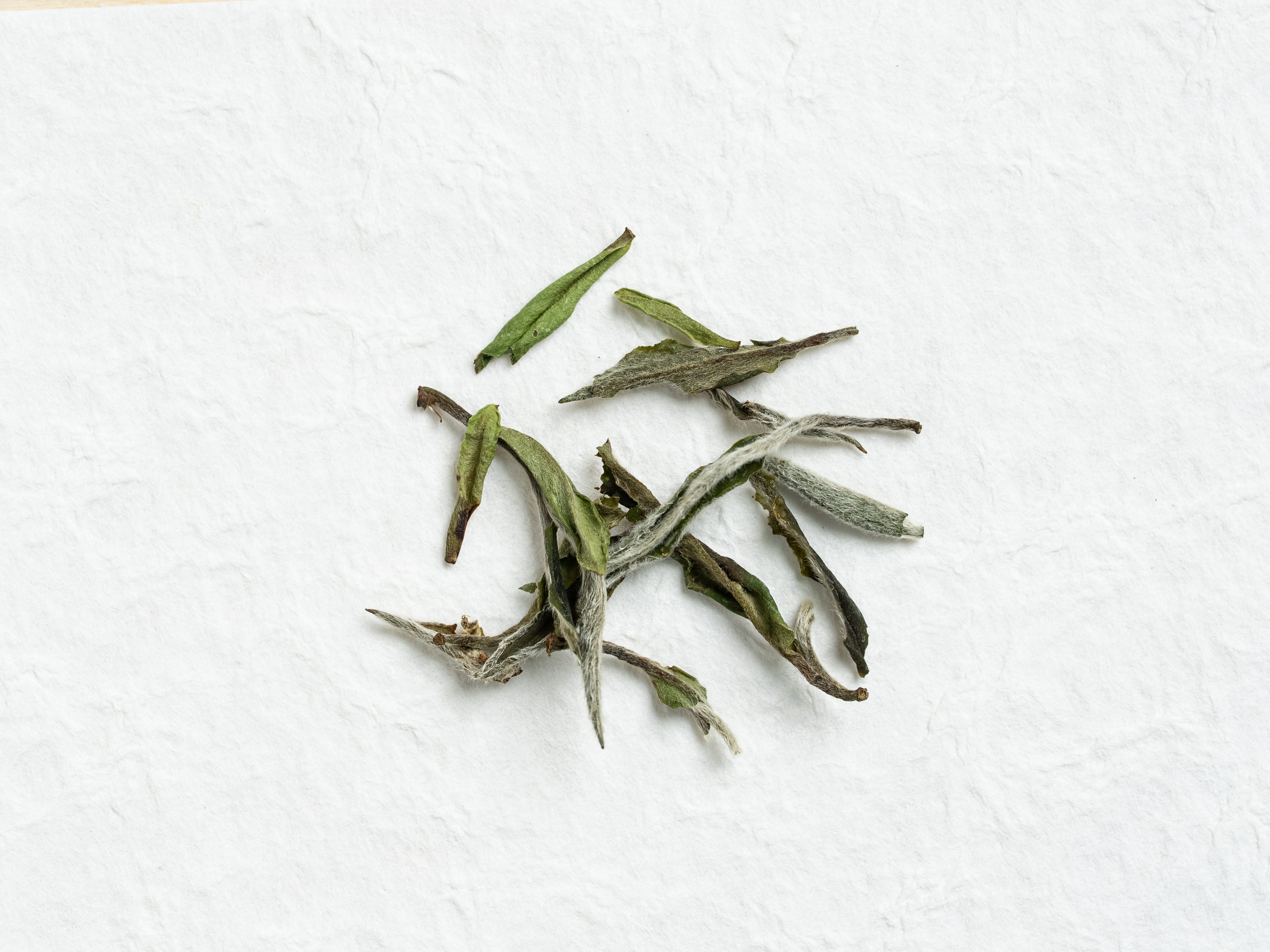 White Peony Tea