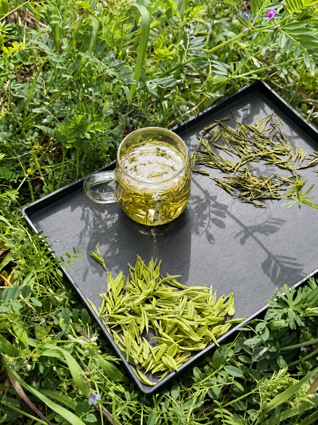 A glass cup of tea and loose leaves on a tray outdoors