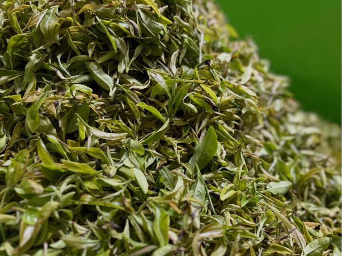 Tea leaves gathered in a loose mound