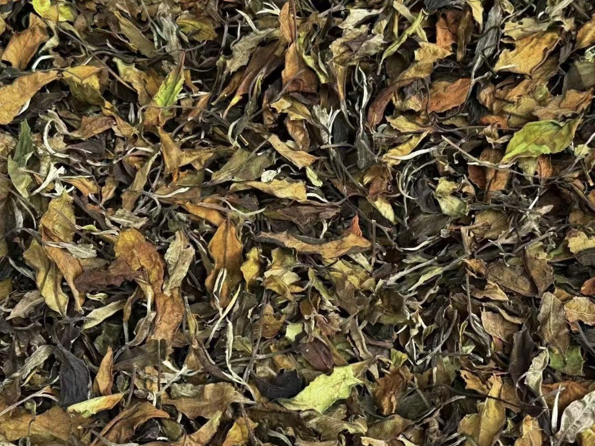 Tea leaves spread in a loose layer