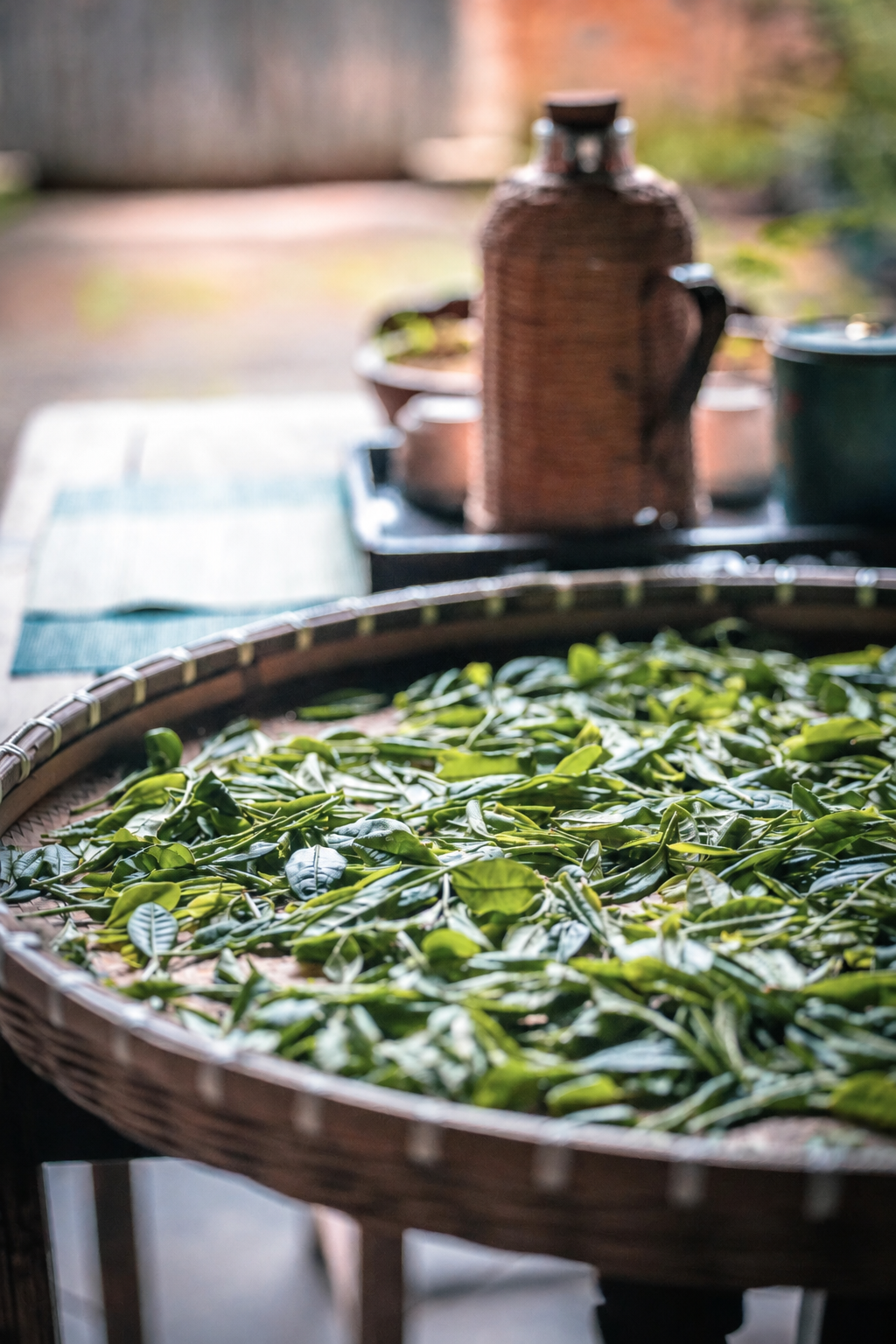 Fresh green leaves spread across a bamboo tray