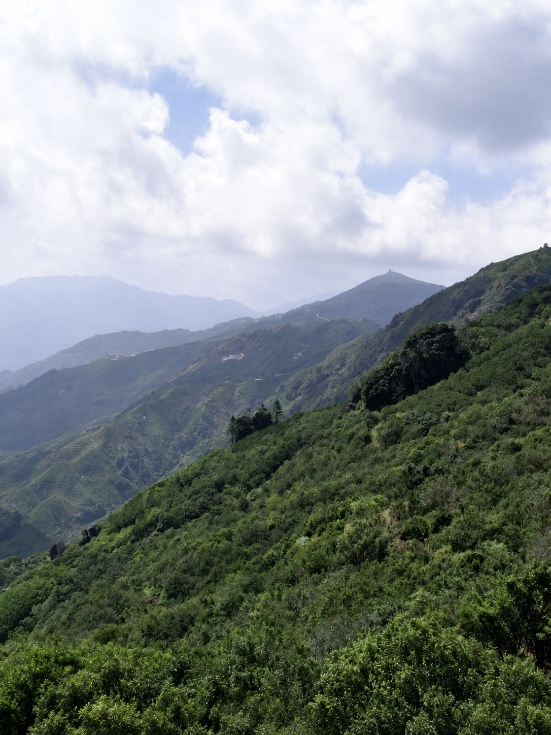 Wooded mountain slopes and distant terraces below clouds