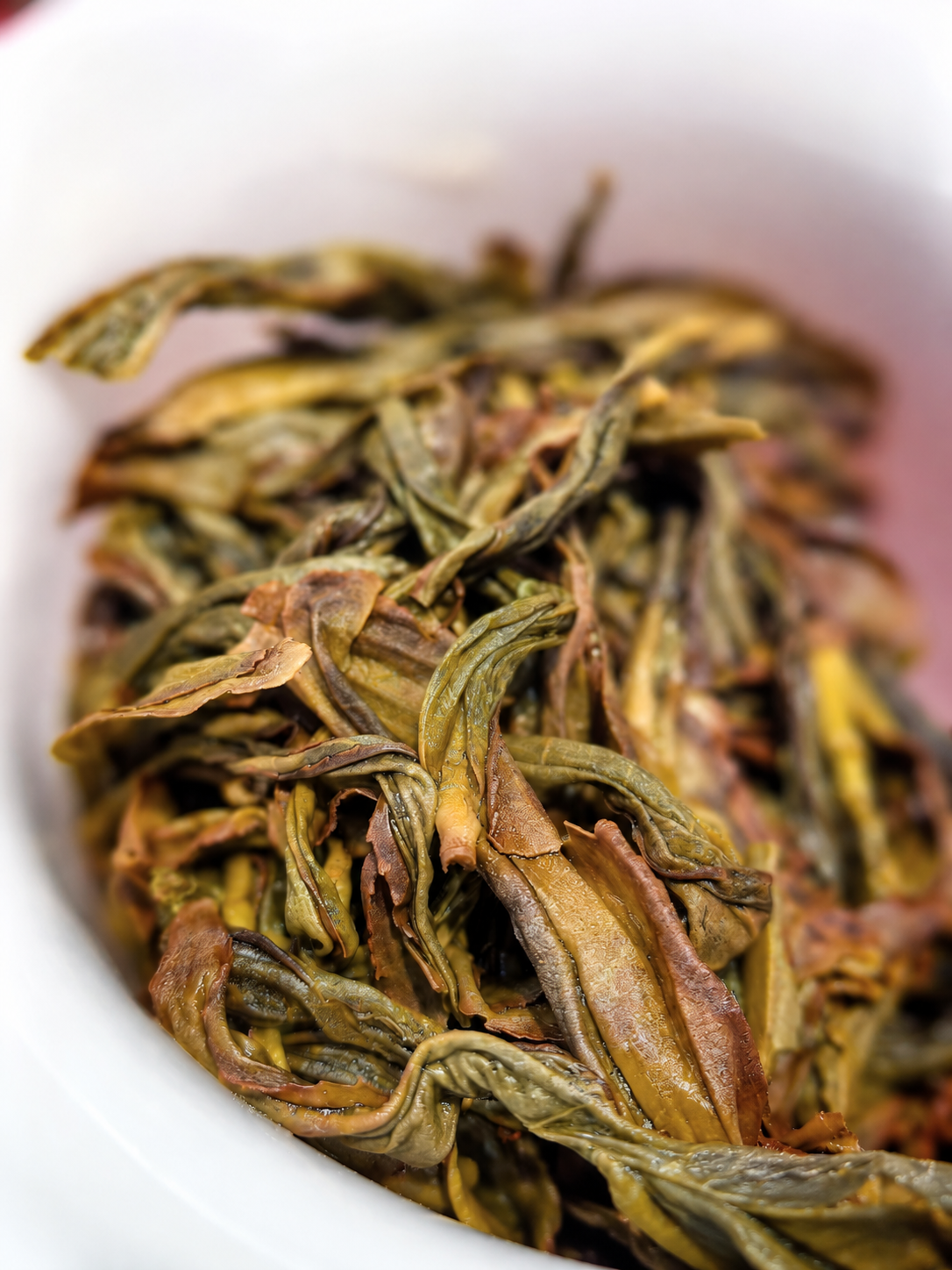 Opened brown-green tea leaves in a white bowl