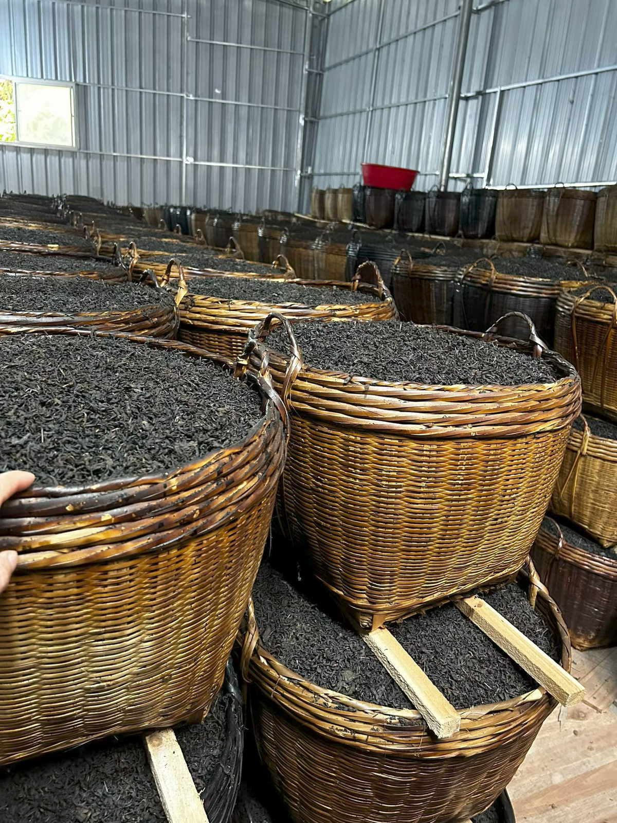 Open woven baskets filled with tea leaves arranged in a room