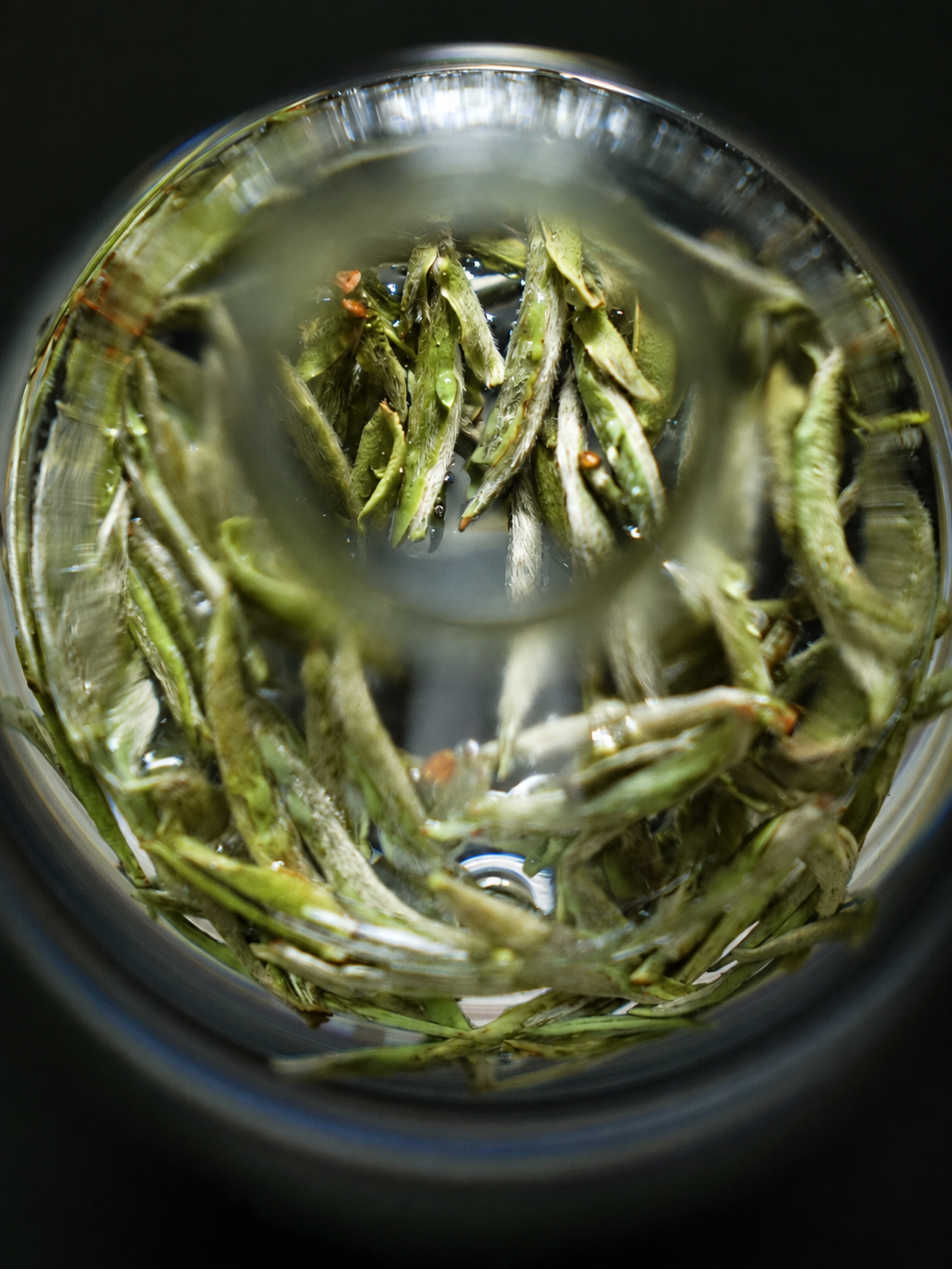 Tea buds steeping in a glass cup seen from above