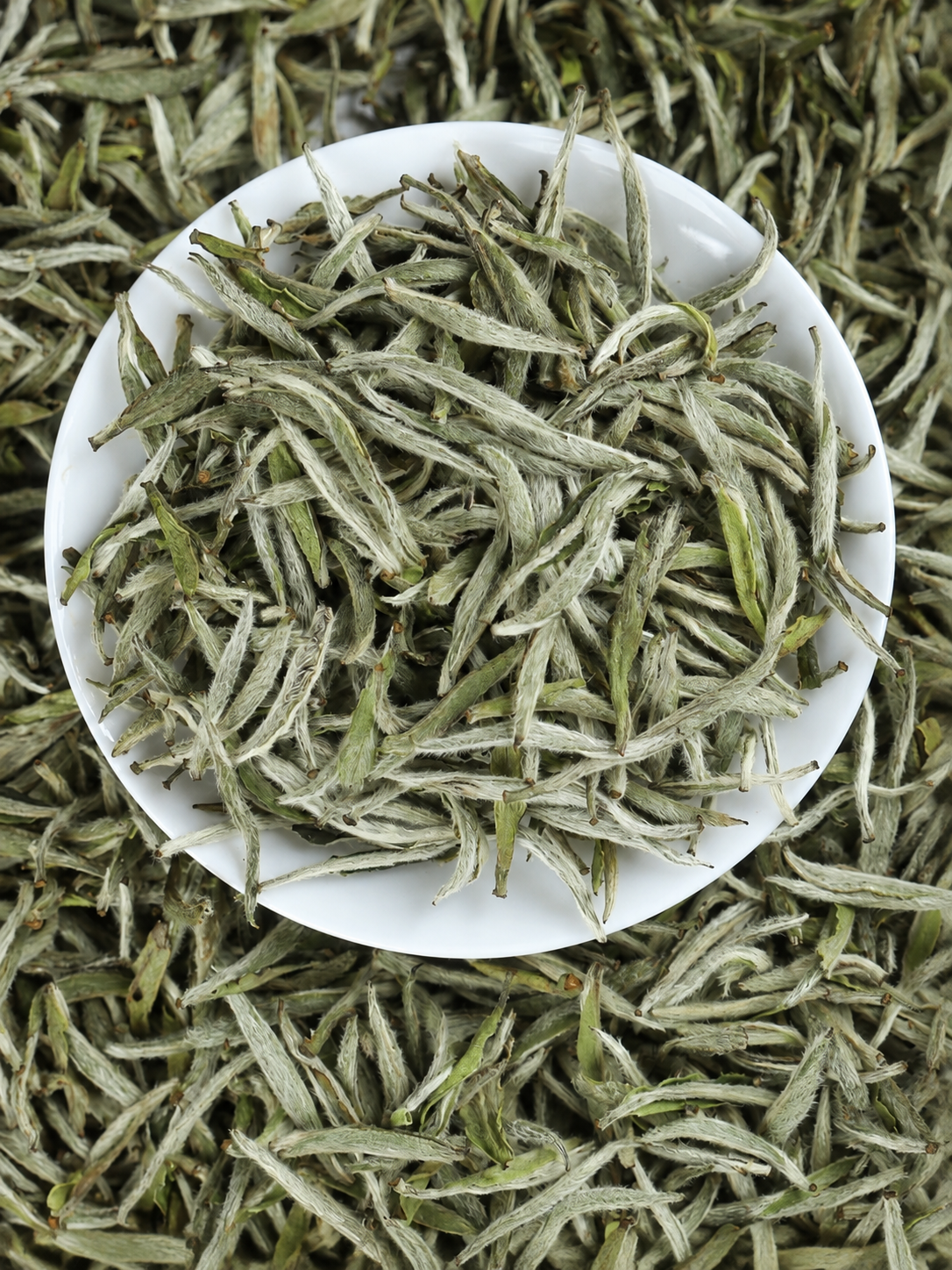 Pale down-covered tea buds piled on a white plate