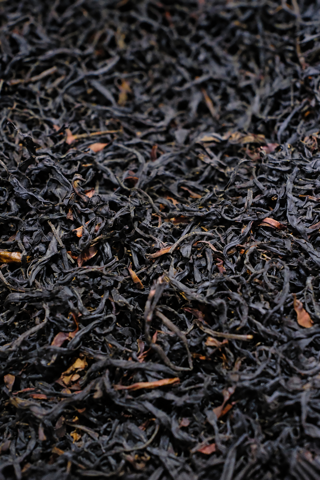 Close view of dark curled dry leaves