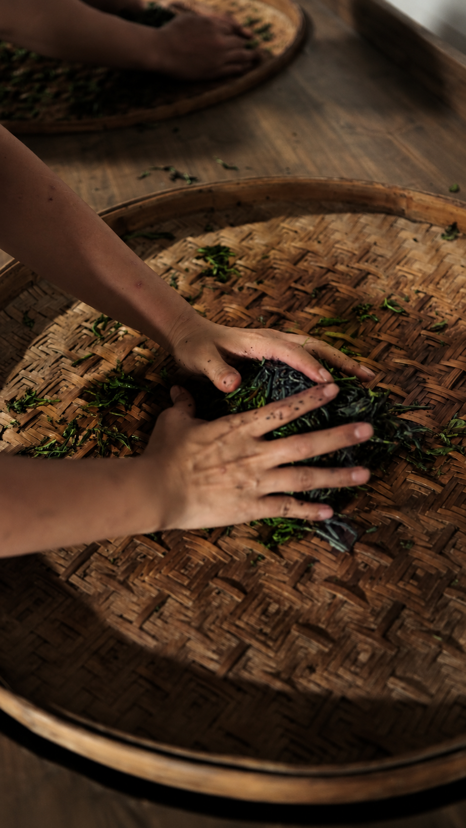 Hands working tea leaves on a woven tray