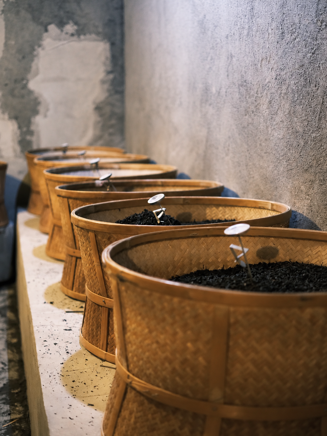 Rows of baskets holding dark tea leaves with temperature probes