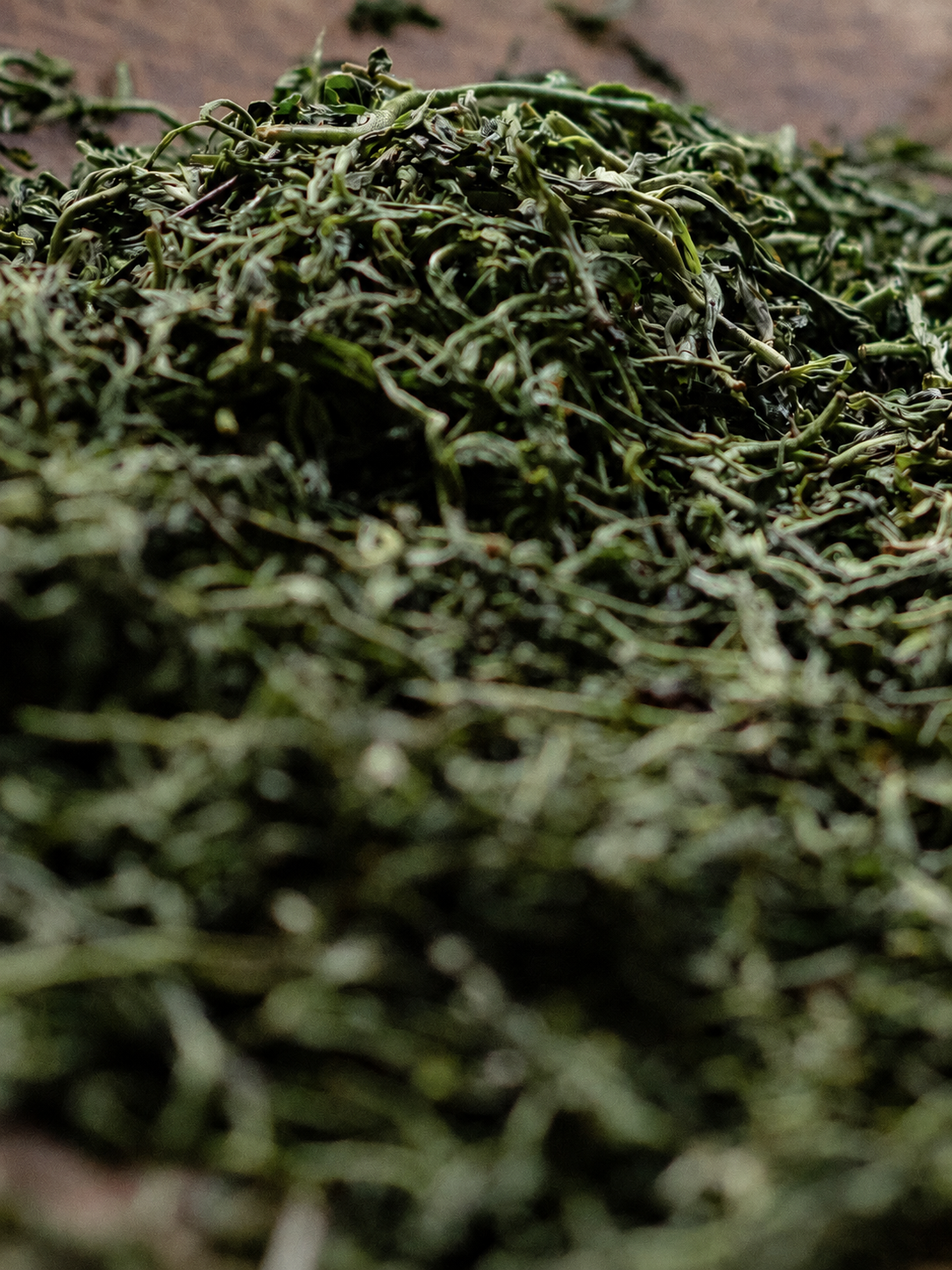 Mound of twisted green tea leaves and stems