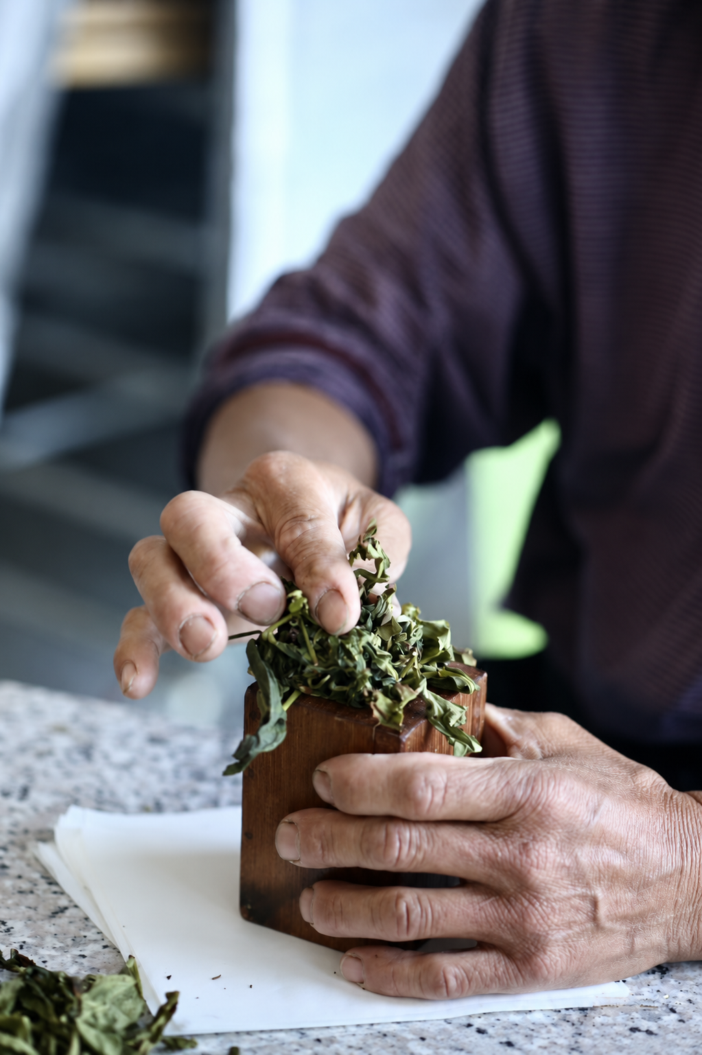 Hands placing tea leaves into a wooden mold