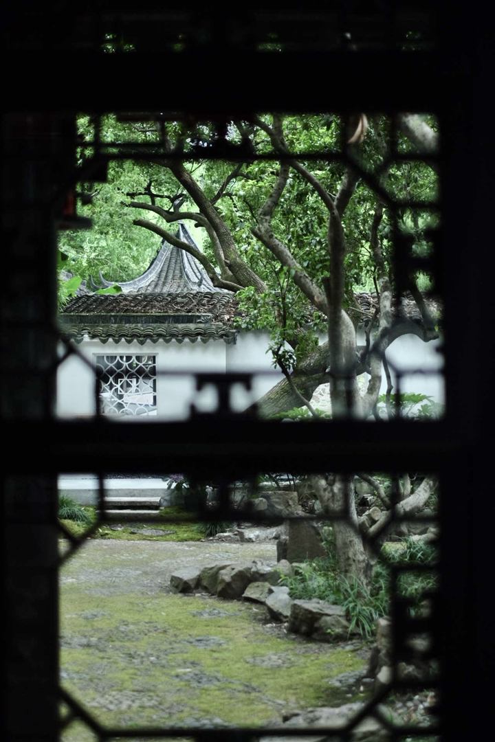 A garden framed by a dark lattice window.