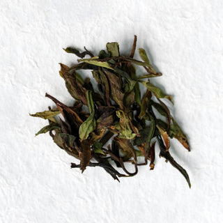 Wild Forest Sun-Dried White Tea loose leaves on a light textured surface