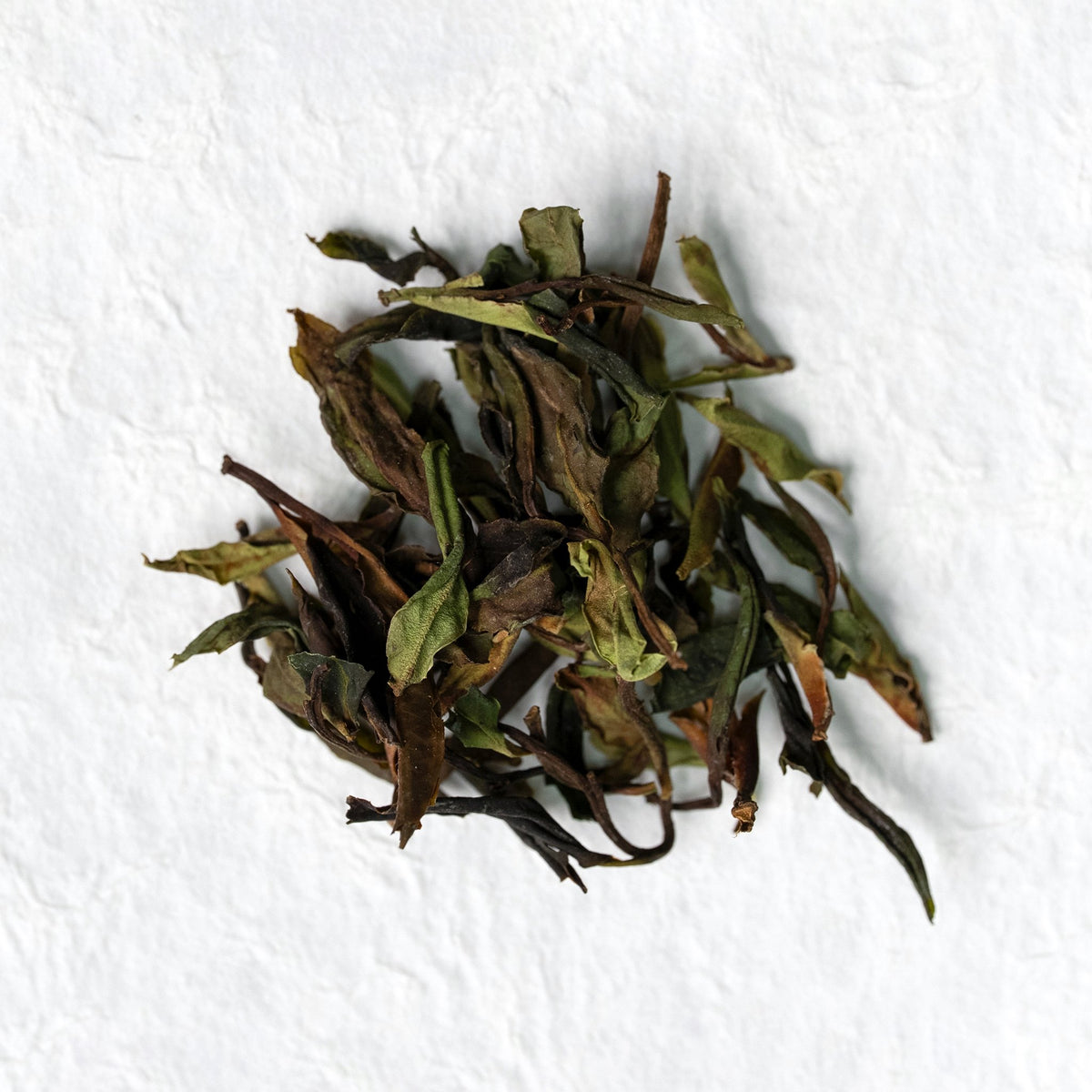 Wild Forest Sun-Dried White Tea loose leaves on a light textured surface